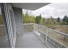 d80f0ea95f1b09af6a946cbf21ed6055 at 305 - 11671 Fraser Street, East Central, Maple Ridge