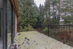 image-262055122-17.jpg at 14 - 19696  Road, South Meadows, Pitt Meadows