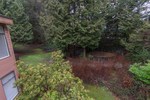 image-262055122-19.jpg at 14 - 19696  Road, South Meadows, Pitt Meadows