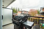 11461-236-street-cottonwood-mr-m at 5 - 11461 236 Street, Cottonwood MR, Maple Ridge