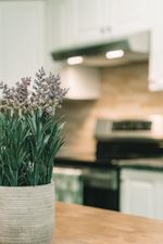 22230-north-avenue-west-central-maple-ridge-28 at 204 - 22230 North Avenue, West Central, Maple Ridge