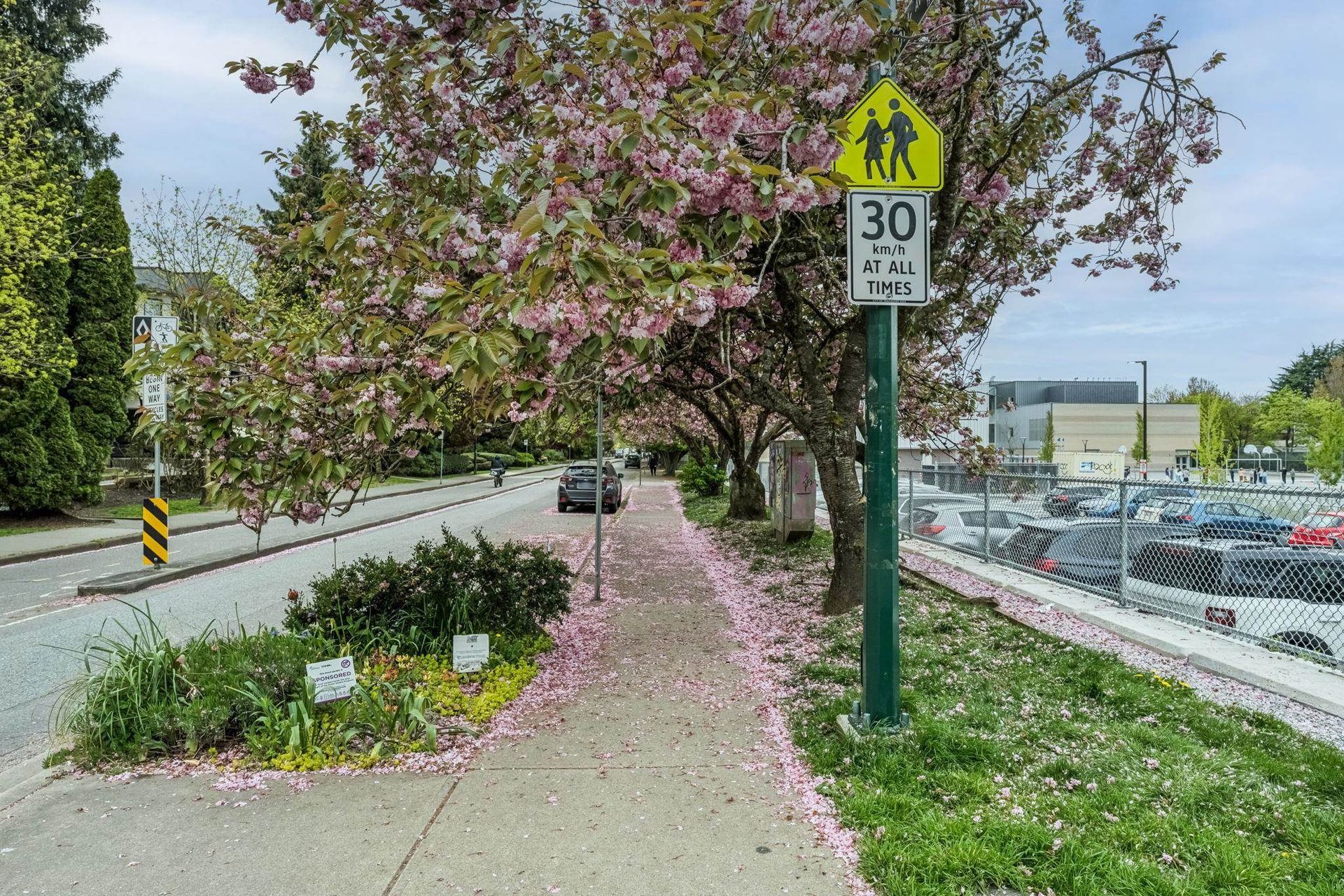 1888-york-avenue-kitsilano-vancouver-west-30 at 503 - 1888 York Avenue, Kitsilano, Vancouver West