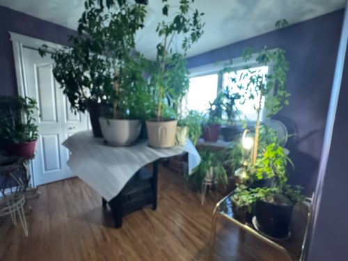 photo-2025-11-24-11-30-31-am at 1837 109 Avenue, Dawson Creek