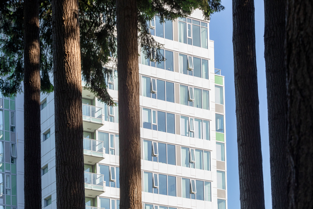 original_46fb909e-c013-4043-9bd9 at 