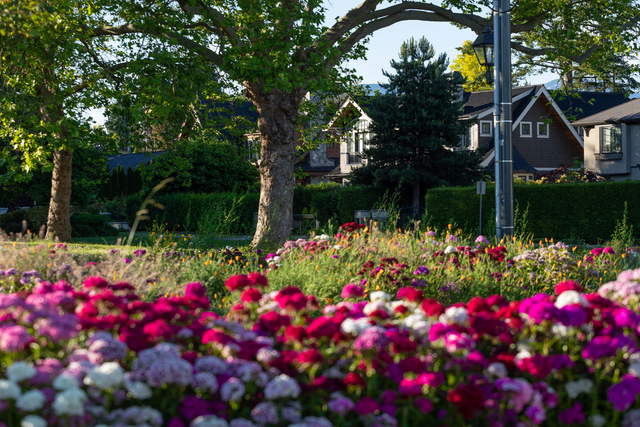 original_80900987-a740-4475-bbf4 at 