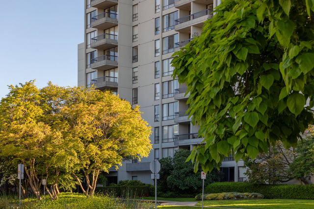 original_8df825ca-6ea1-42f1-917d at 