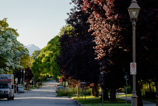 original_99f51714-8f3f-423a-99e9 at 