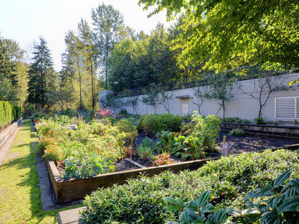 17 of 104 - 701 Klahanie Drive, Port Moody Centre, Port Moody 17 of 104 - 701 Klahanie Drive, Port Moody Centre, Port Moody