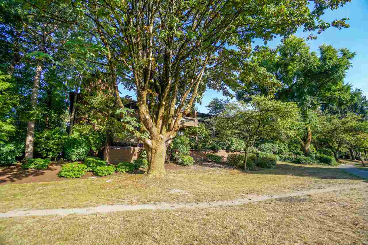 3420-bell-avenue-sullivan-heights-burnaby-north-16 of 306 - 3420 Bell Avenue, Sullivan Heights, Burnaby North