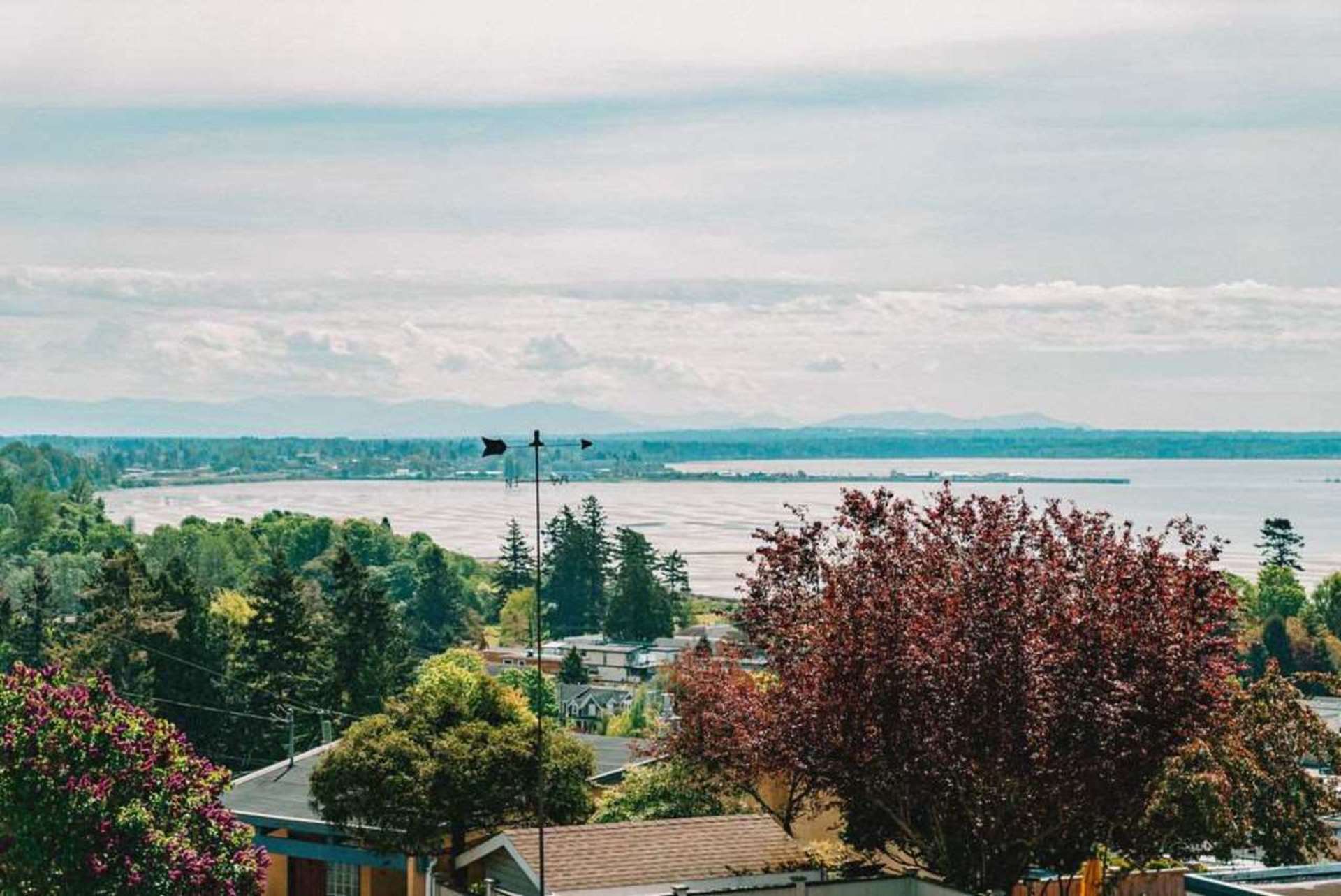 image of 15584 Semiahmoo Avenue, White Rock, South Surrey White Rock image of 15584 Semiahmoo Avenue, White Rock, South Surrey White Rock