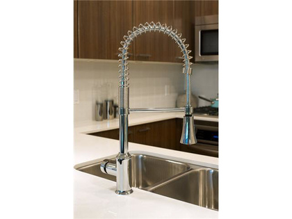 Industrial-Style Faucet  of #1008 - 2789 Shaughnessy St., Central Pt Coquitlam, Port Coquitlam