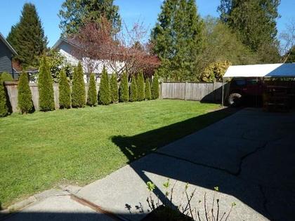 Back Yard of 857 Pinemont Avenue, Lincoln Park PQ, Port Coquitlam