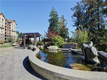 at 213 - 1400  Pl, Bear Mountain, Langford  at 213 - 1400  Pl, Bear Mountain, Langford