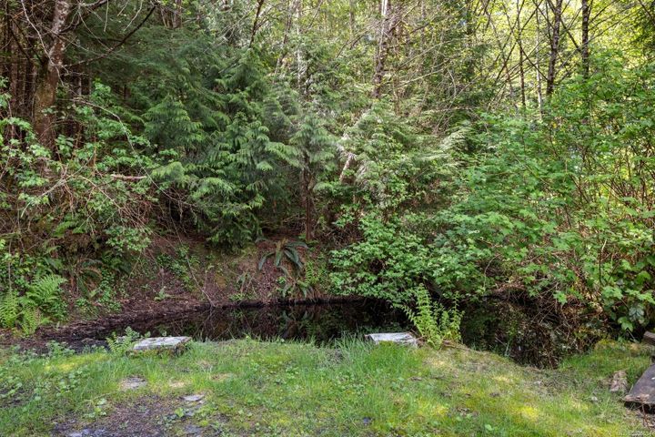 6505-powder-main-port-renfrew-sooke-29 at D - 6505 Powder Main Road, Port Renfrew, Sooke