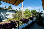 3164princeedward-3 at 3164 -  Prince Edward Street, Mount Pleasant VE, Vancouver East