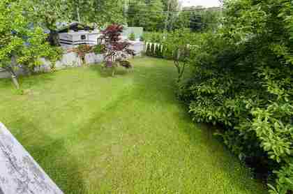 1207-shavington-street-calverhall-north-vancouver-11 at 1207 Shavington Street, Calverhall, North Vancouver