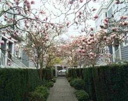 262067363-1 at 204 - 665 West 7th Avenue, Fairview VW, Vancouver West