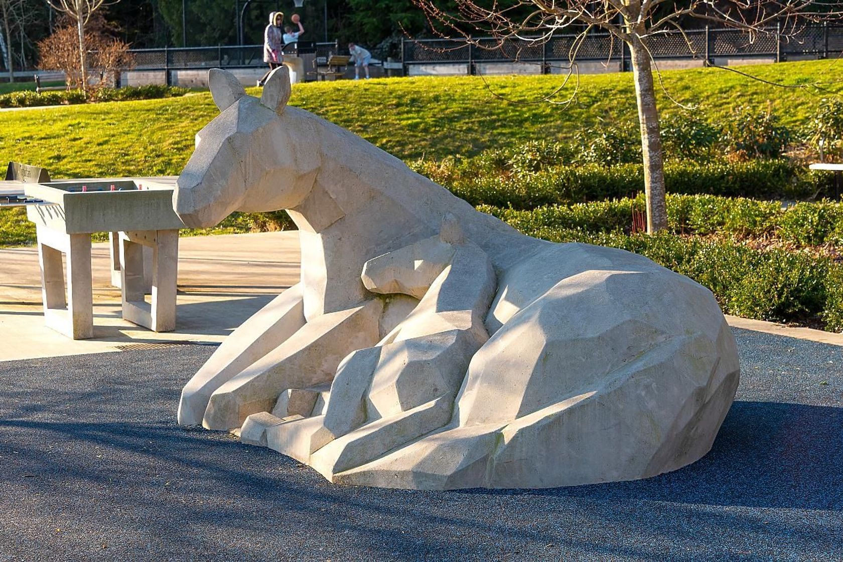 3306-princeton-avenue-burke-mountain-coquitlam-27 at 65 - 3306 Princeton Avenue, Burke Mountain, Coquitlam