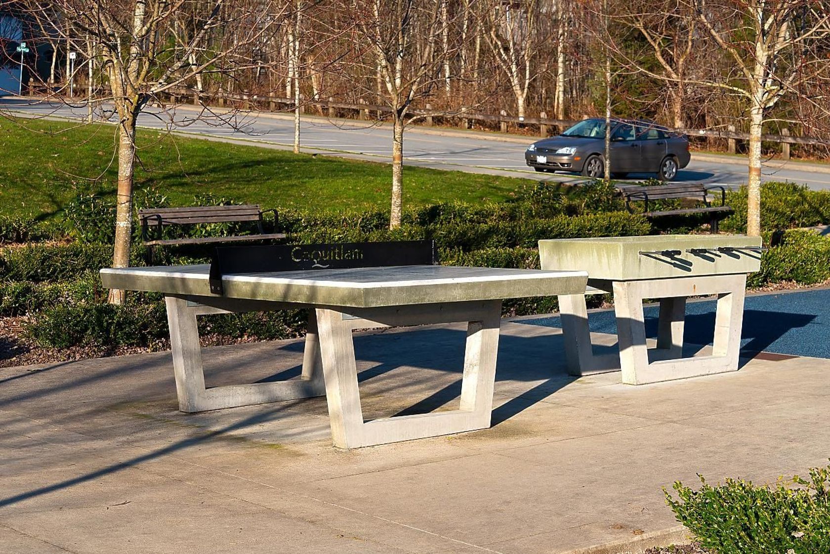 3306-princeton-avenue-burke-mountain-coquitlam-28 at 65 - 3306 Princeton Avenue, Burke Mountain, Coquitlam