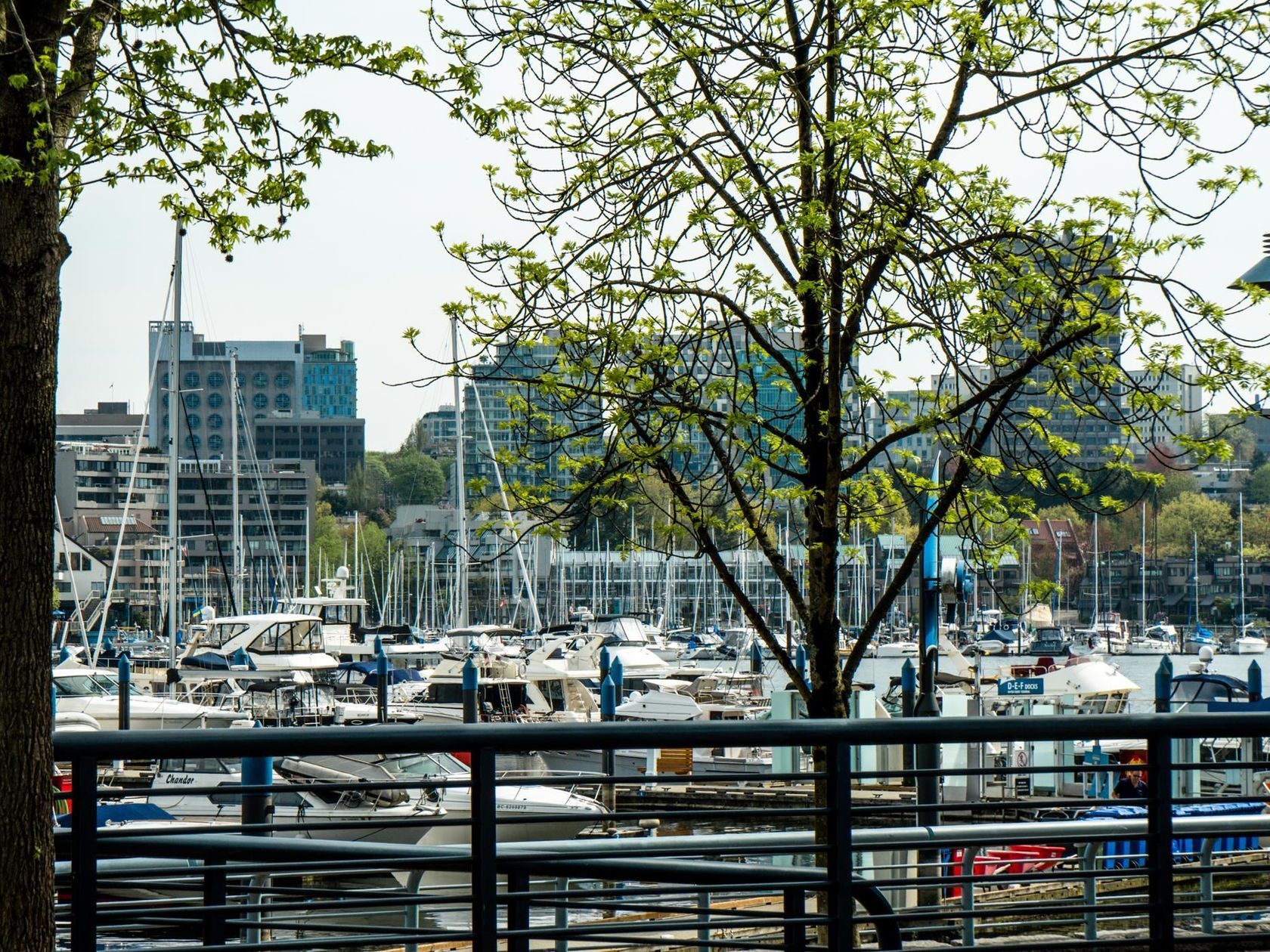 193-aquarius-mews-yaletown-vancouver-west-20 at 1605 - 193 Aquarius Mews, False Creek-Yaletown (Yaletown), Vancouver West