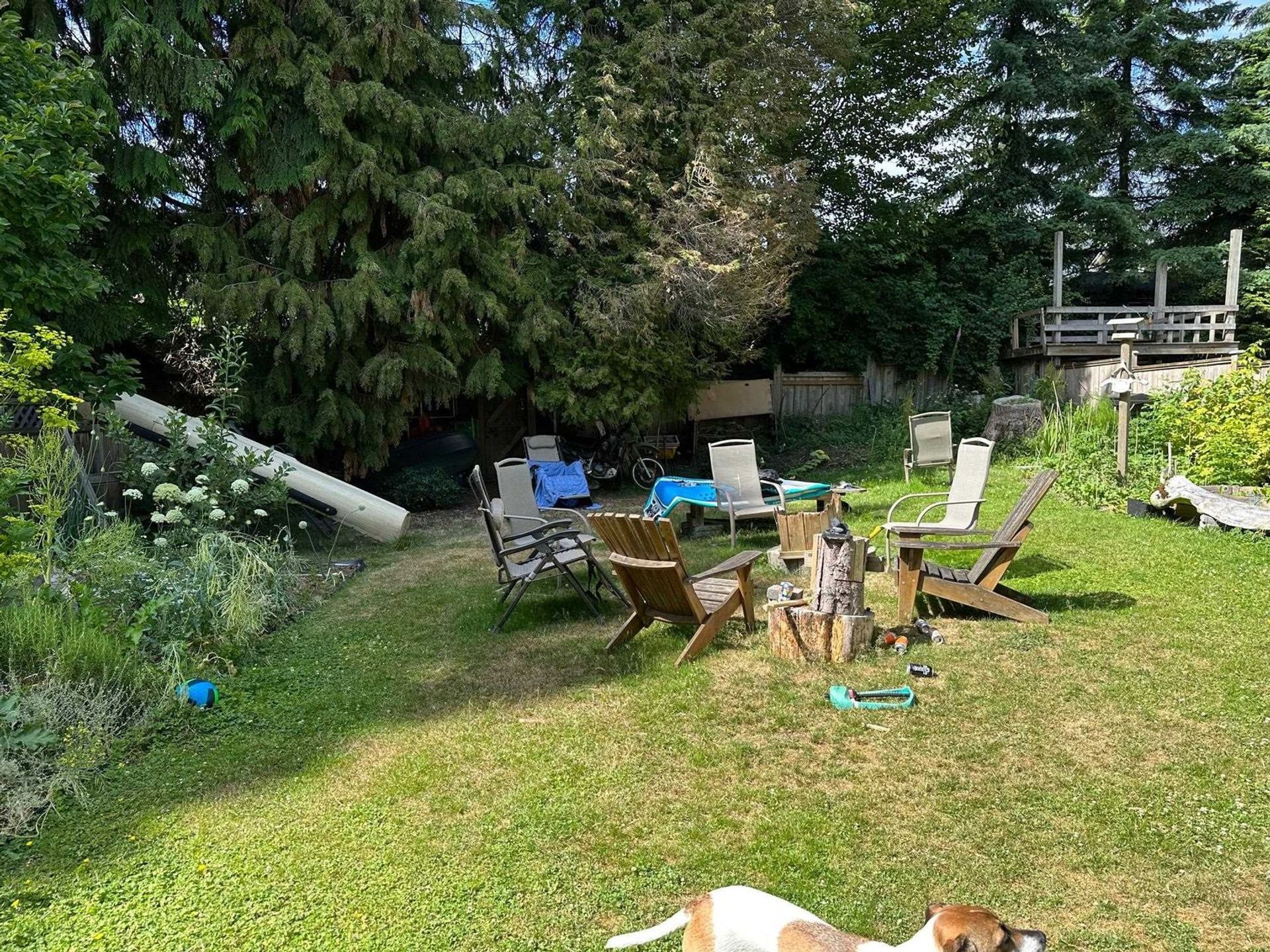 618 W 23rd Street, Mosquito Creek, North Vancouver - 618-w-23rd-street-mosquito-creek-north-vancouver-03 618 W 23rd Street, Mosquito Creek, North Vancouver - 618-w-23rd-street-mosquito-creek-north-vancouver-03