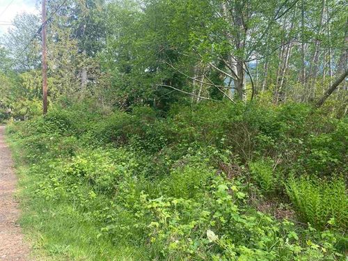 Lot-1-garden-bay-road-pender-harbour-egmont-sunshine-coast-11 at LOT 1 GARDEN BAY Road, Pender Harbour Egmont, Sunshine Coast