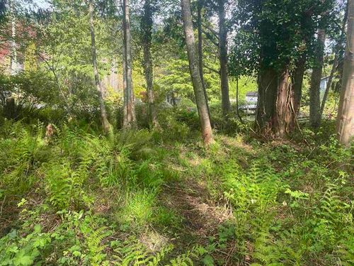 Lot-1-garden-bay-road-pender-harbour-egmont-sunshine-coast-12 at LOT 1 GARDEN BAY Road, Pender Harbour Egmont, Sunshine Coast