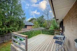Backyard at 20 Moccasin Trail, Banbury-Don Mills, Toronto
