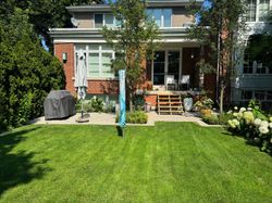 Backyard at 32 Southlea Avenue, Leaside, Toronto