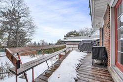 Backyard at 76 Valentine Drive, Parkwoods-Donalda, Toronto
