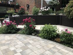 Backyard at 76 Valentine Drive, Parkwoods-Donalda, Toronto