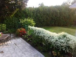 Backyard at 76 Valentine Drive, Parkwoods-Donalda, Toronto