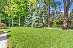 Backyard at 8 Silverdale Crescent, Parkwoods-Donalda, Toronto