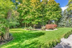 Backyard at 8 Silverdale Crescent, Parkwoods-Donalda, Toronto