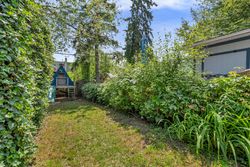 Backyard at 263 Glebeholme Boulevard, Danforth, Toronto