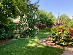 Backyard at 81 Broadlands Boulevard, Parkwoods-Donalda, Toronto