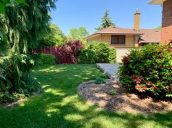 Backyard at 81 Broadlands Boulevard, Parkwoods-Donalda, Toronto