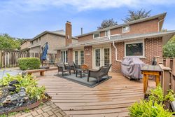Backyard at 18 Mistflower Road, Hillcrest Village, Toronto