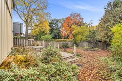 Backyard at 6 Armour Boulevard, Bedford Park-Nortown, Toronto