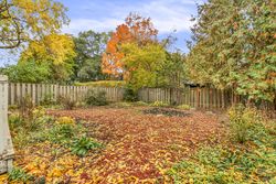 Backyard at 6 Armour Boulevard, Bedford Park-Nortown, Toronto