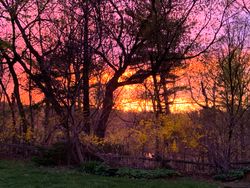 Backyard at 142 Three Valleys Drive, Parkwoods-Donalda, Toronto