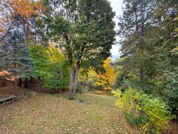 Backyard at 12 Ruden Crescent, Parkwoods-Donalda, Toronto