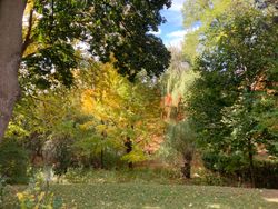 Backyard at 12 Ruden Crescent, Parkwoods-Donalda, Toronto