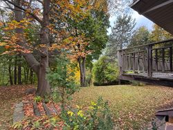 Backyard at 12 Ruden Crescent, Parkwoods-Donalda, Toronto