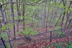 Backyard at 151 Three Valleys Drive, Parkwoods-Donalda, Toronto