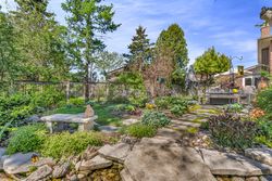 Backyard at 14 Squirewood Road, Pleasant View, Toronto
