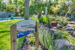 Backyard at 14 Squirewood Road, Pleasant View, Toronto