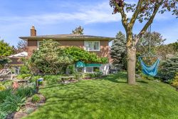 Backyard at 14 Squirewood Road, Pleasant View, Toronto