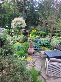 Backyard at 14 Squirewood Road, Pleasant View, Toronto