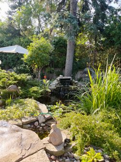 Backyard at 14 Squirewood Road, Pleasant View, Toronto